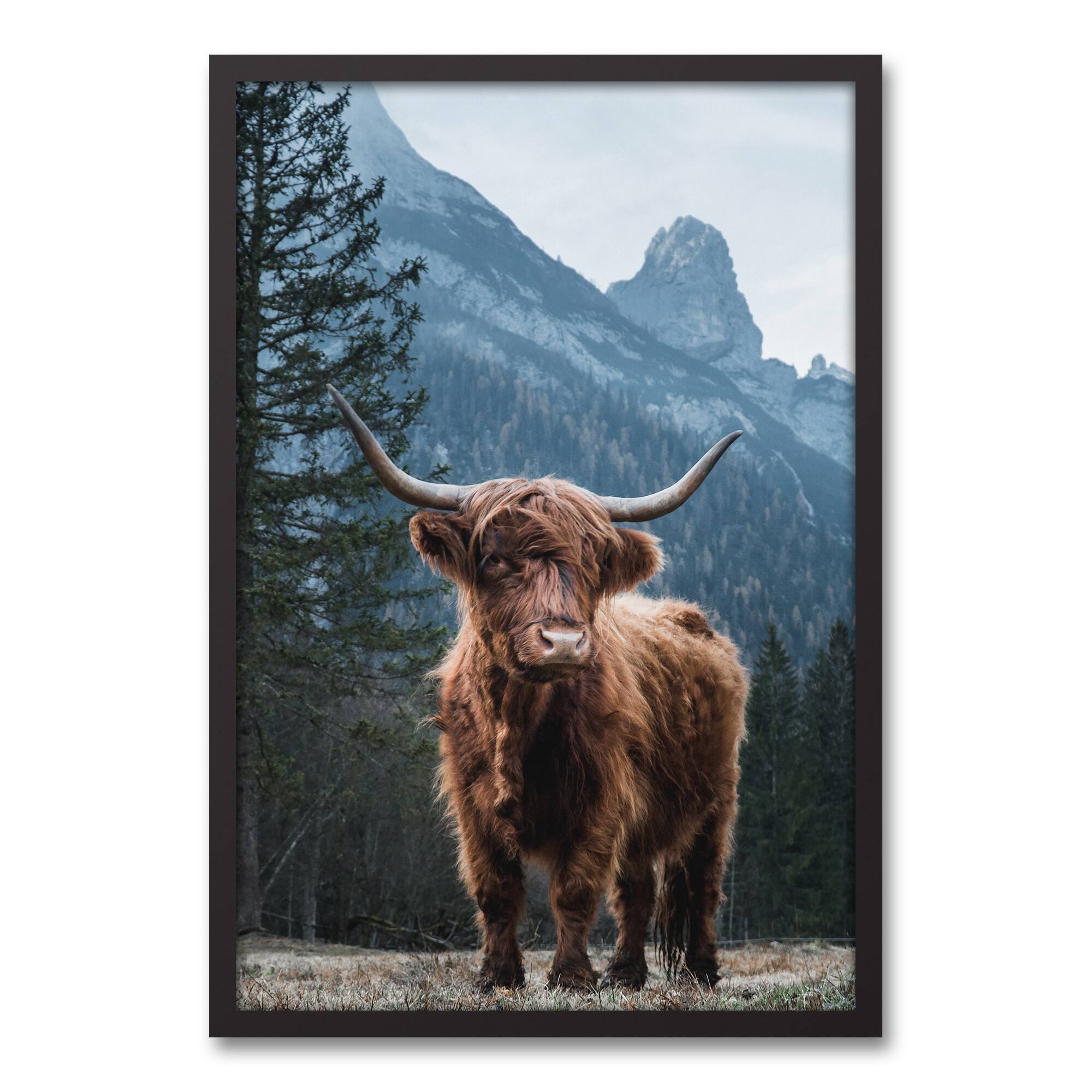 Moody Highland 21.73" x 31.73" Black Framed Canvas